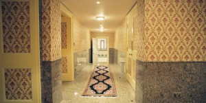 Prof-Nasser-David-Khalili-Nour-Palace33